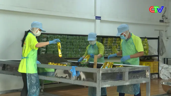 Trợ giúp pháp lý 30/11/2025: Thực trạng hỗ trợ pháp lý cho doanh nghiệp tại Cà Mau