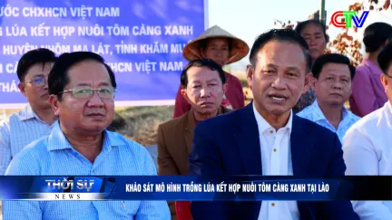 Bản tin trưa 03/12/2025