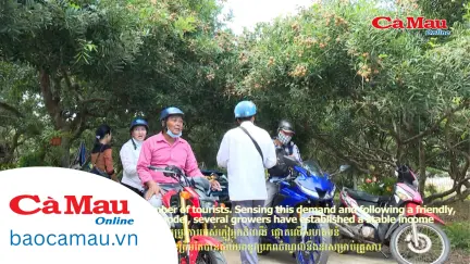 ĐA SẮC, HƯƠNG TRÁI CÂY CÀ MAU/THE COLORS AND FLAVORS OF CÀ MAU’S FRUITS/សម្បូរបែបនៃរសជាតិផ្លែឈើ