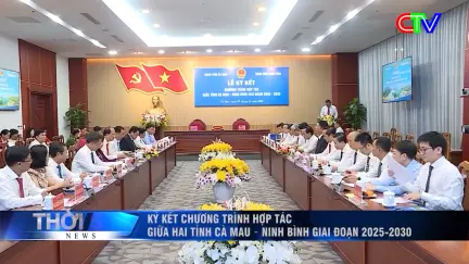 Thời sự tối 07/12/2025