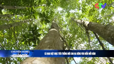 Chuyển động ngày mới 10/12/2025