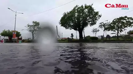 Mưa lớn suốt đêm, nhiều tuyến đường phường Bạc Liêu chìm trong biển nước