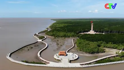 Thời sự tối 12/12/2025