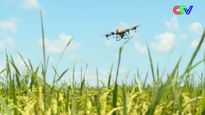 Truyền thông giảm nghèo về thông tin 16/12/2025: Công nghệ mở đường cho nông sản Việt vươn xa