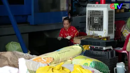 Môi trường 17/12/2025: Người "thổi hồn" cho rác thải nhựa