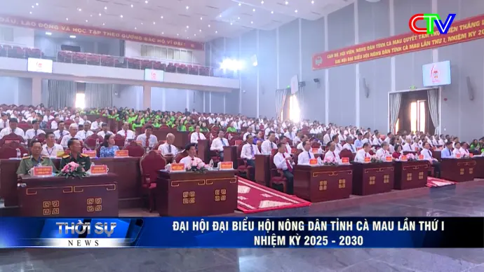 Bản tin trưa 16/12/2025