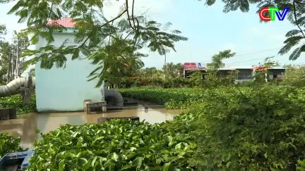 Nông nghiệp môi trường 17/12/2025: Giải pháp "phi nông nghiệp" chống ngập úng