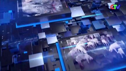 Bản tin thị trường 19/12/2025