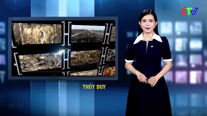 Nông dân Cà Mau 19/12/2025: Nông dân Cà Mau đoàn kết, hợp tác, phát triển
