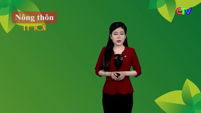 Nông thôn mới 24/12/2025: Nhân rộng các mô hình sản xuất hiệu quả, góp phần nâng cao đời sống người dân xã nông thôn mới