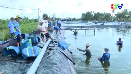 Khoa học công nghệ 25/12/2025: Những điểm sáng công nghệ góp phần bảo vệ môi trường, phát triển ngành tôm bền vững