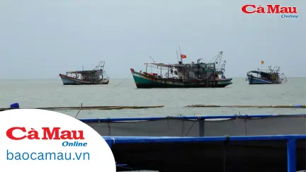 Bảo tồn tài nguyên biển, bảo vệ sinh kế bền vững