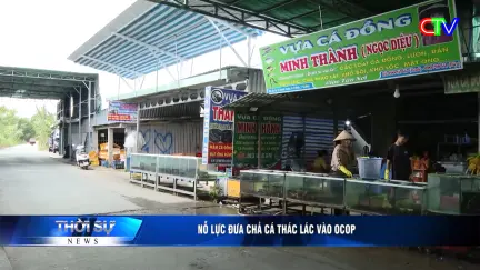 Bản tin trưa 27/12/2025