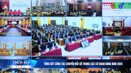 Bản tin trưa 29/12/2025