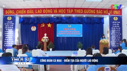 Thời sự tối 29/12/2025