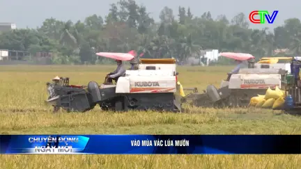 Chuyển động ngày mới 31/12/2025