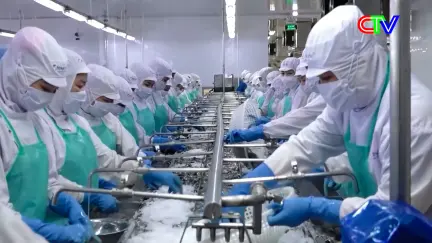 Tạo sinh kế giúp người dân thoát nghèo