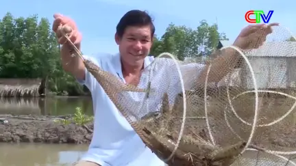 Thuận thiên để phát triển bền vững nghề nuôi tôm