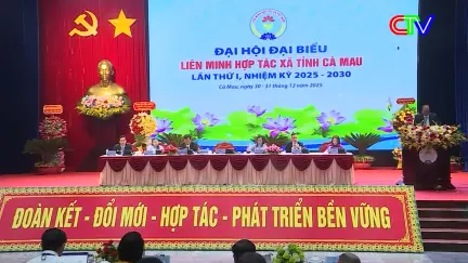 Bản tin trưa 31/12/2025