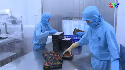 Xây dựng Đảng 02/01/2026: Các đơn vị, địa phương thực hiện Nghị quyết Đại hội Đảng bộ tỉnh