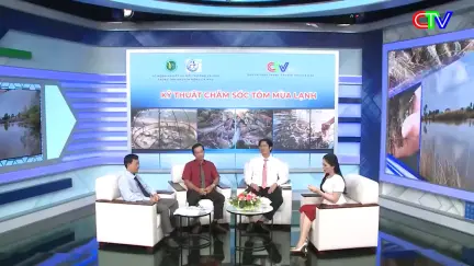 Đồng hành cùng nhà nông 02/01/2026: Lựa chọn mô hình nuôi tôm bền vững