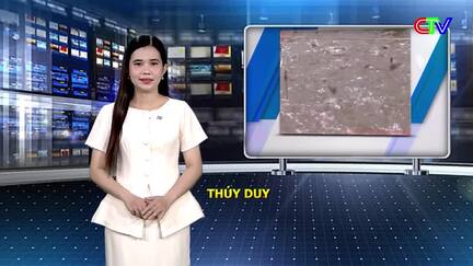 Kinh tế thủy sản 03/01/2026: Quản lý và chăm sóc tôm nuôi trong mùa lạnh