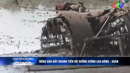 Chuyển động ngày mới 04/01/2026