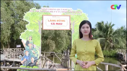 Hương sắc phương Nam 03/01/2026: Làng rừng Cà Mau