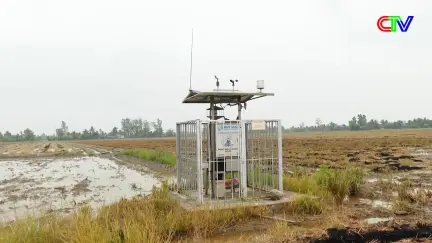 Chuyển động ngày mới 11/01/2026