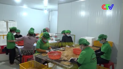 Phụ nữ Cà Mau 12/01/2026: Lan tỏa phong trào phụ nữ khởi nghiệp