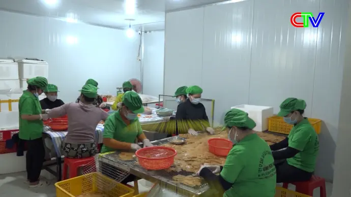 Phụ nữ Cà Mau 12/01/2026: Lan tỏa phong trào phụ nữ khởi nghiệp