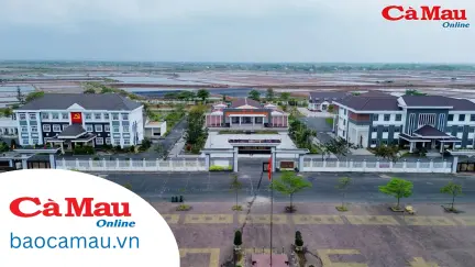 CHUYÊN ĐỀ BHXH KỲ 1 - THÁNG 1/2026