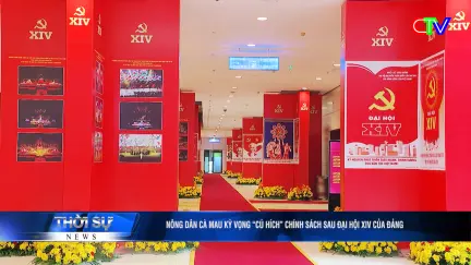 Bản tin trưa 19/01/2026