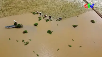 Nông thôn mới 21/01/2026: Vĩnh Lợi xây dựng nông thôn trở thành vùng quê đáng sống