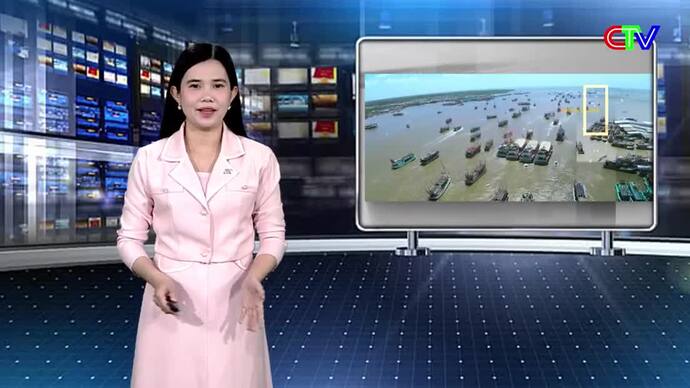 Nhịp sống biển 22/01/2026: Rộn ràng mùa biển