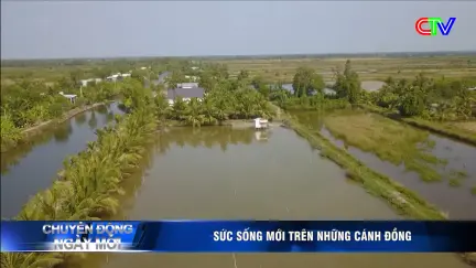 Chuyển động ngày mới 24/01/2026