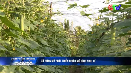 Chuyển động ngày mới 26/01/2026