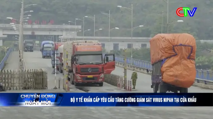 Chuyển động ngày mới 29/01/2026