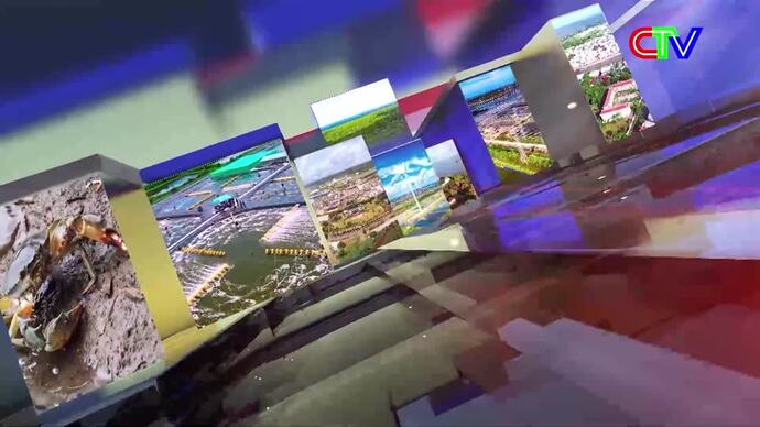 Chuyển động ngày mới 31/01/2026