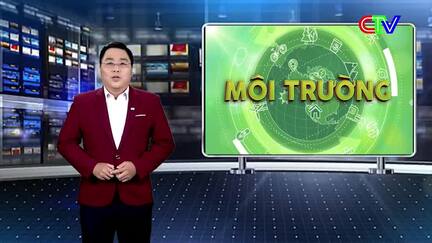 Môi trường 03/2/2026: Phố phường rực rỡ đón Xuân