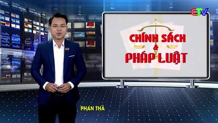 Chính sách pháp luật 06/2/2026: Chống khai thác nguồn lợi thủy sản có tính hủy diệt trong tình hình mới