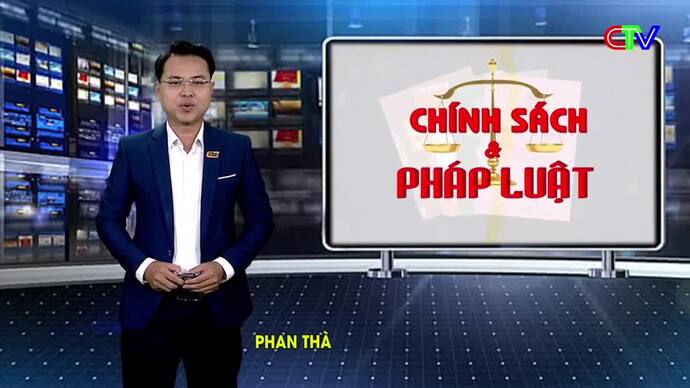 Chính sách pháp luật 06/2/2026: Chống khai thác nguồn lợi thủy sản có tính hủy diệt trong tình hình mới