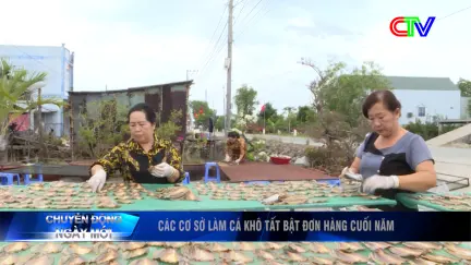 Chuyển động ngày mới 11/2/2026