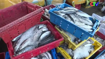 Đưa Nghị quyết Hội đồng nhân dân vào cuộc sống 13/2/2026: Phát triển kinh tế biển