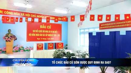 Chuyển động ngày mới 1/3/2026