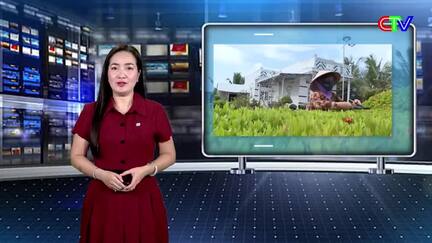 Nông thôn mới 04/03/2026: Hội viên phụ nữ giúp nhau “giữ nghề, giữ thu nhập”