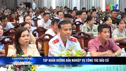 Chuyển động ngày mới 11/3/2026