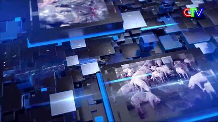 Bản tin thị trường 12/3/2026