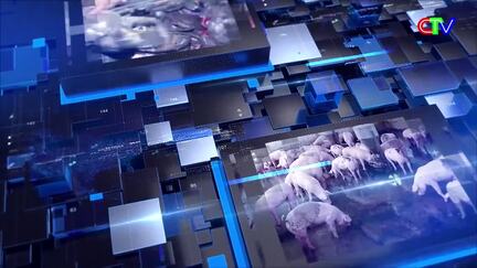 Bản tin thị trường 13/03/2026