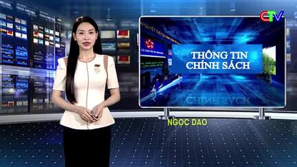 Thông tin chính sách 14/3/2026: Quy định mới về chế độ làm việc đối với giáo viên mầm non